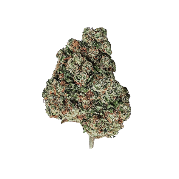 L.A CALI (CALIFORNIA GENETICS)