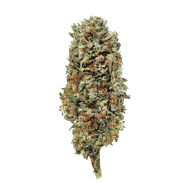 Lemon Haze 2.0