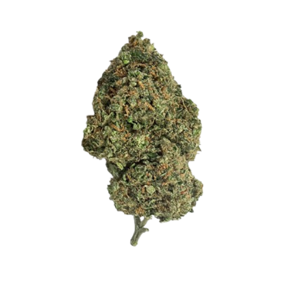 Gelato OG