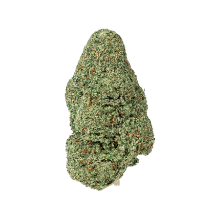Girl Scoot Cookies
