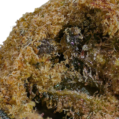 MoonRock